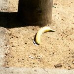 James Michael Tyler Instagram - #randombanana #hollywood #instalike