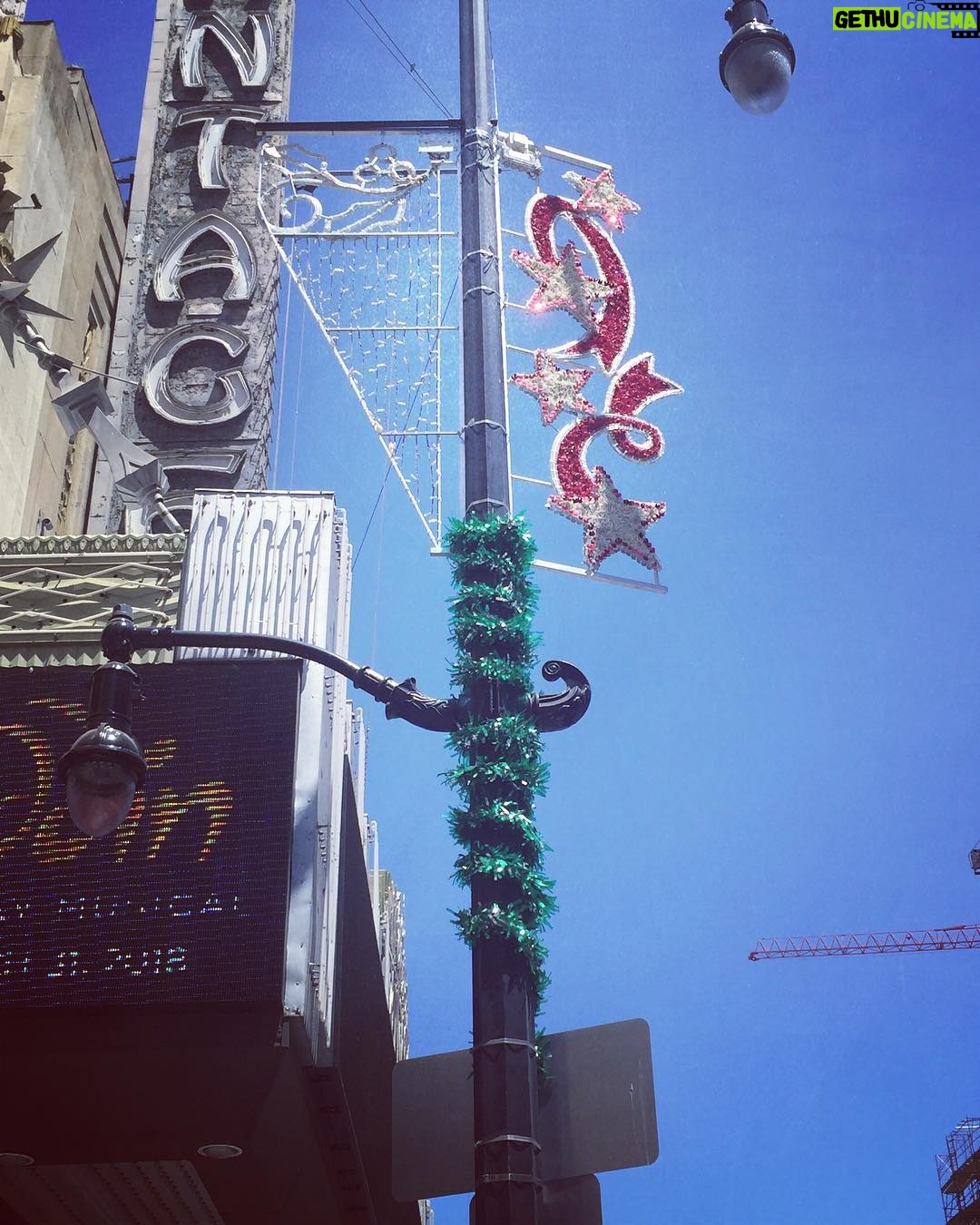 James Michael Tyler Instagram - #hollywood #christmas #july #instagood #photography