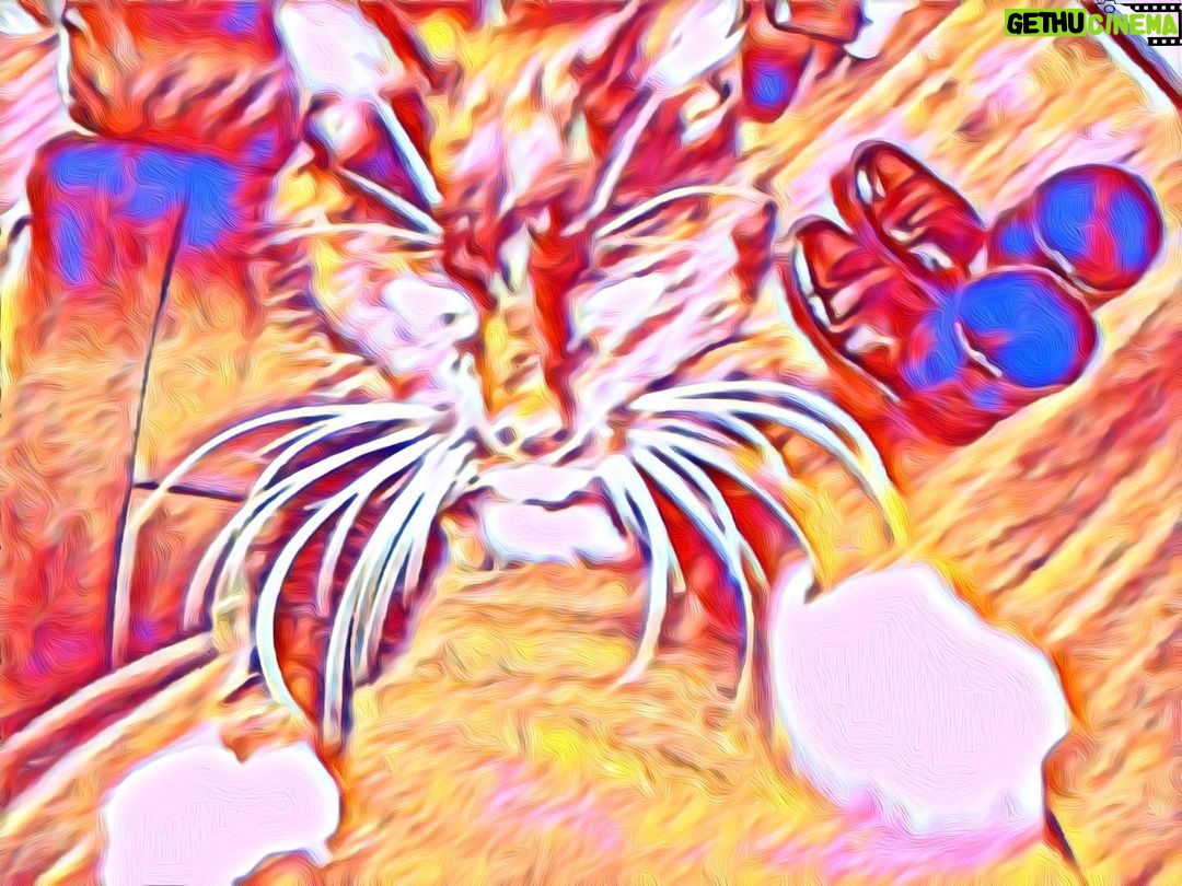 James Michael Tyler - 547 Likes - Cat and Boots. #graphicart #digitalart #painting #cat