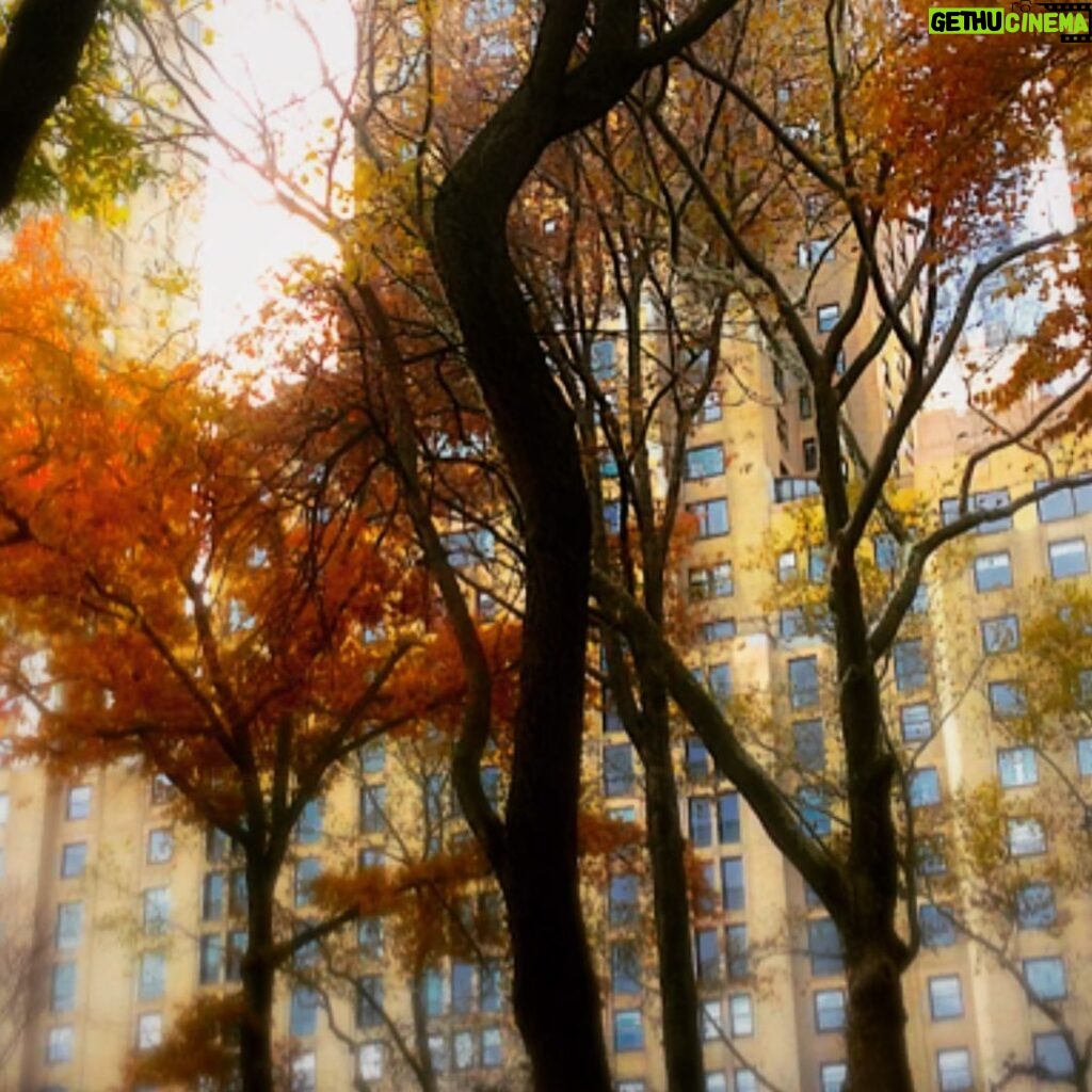 James Michael Tyler Instagram - Central Park. #centralpark #photography #tbt #nyc #music