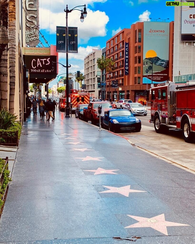 James Michael Tyler Instagram - 3/21/2019. #hollywood #cats #elcentro #pantages