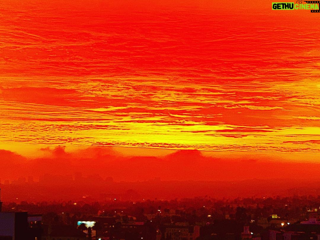 James Michael Tyler - 229 Likes - 1/29/2019. #sunset #hollywood #perspective #photography.
