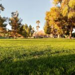 James Michael Tyler Instagram - 1/2/2019. #lawn #perspective #photography