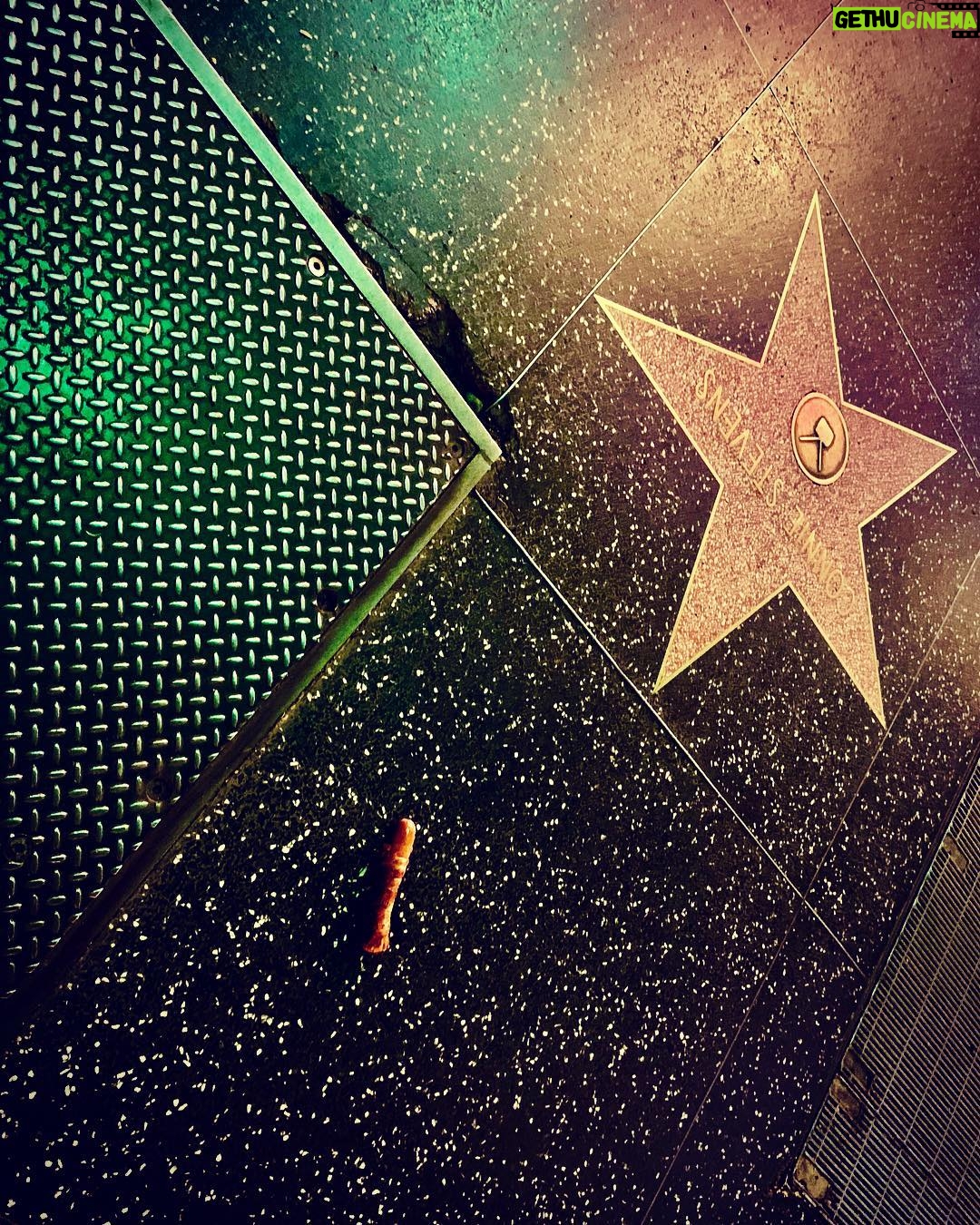 James Michael Tyler - 228 Likes - #grateful #star #hotdog 11/25/2018