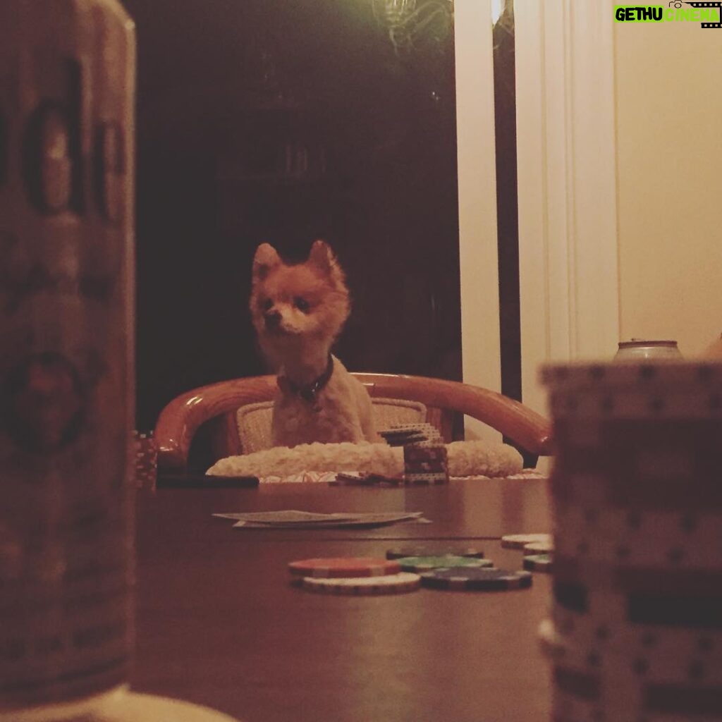 James Roday Rodriguez Instagram - Poker night. He never folds.