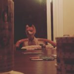 James Roday Rodriguez Instagram - Poker night. He never folds.