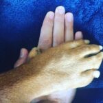 James Roday Rodriguez Instagram - Transference.