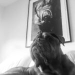 James Roday Rodriguez Instagram - Self portrait.