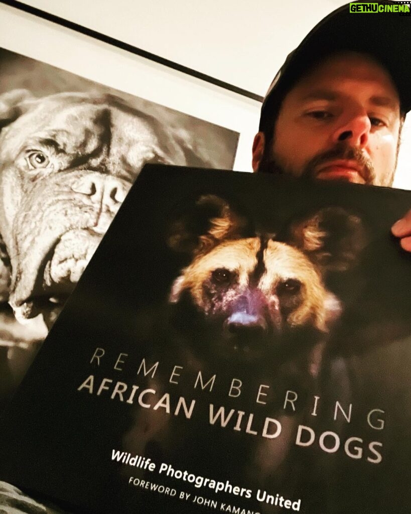 James Roday Rodriguez Instagram - Painted Dogs may not be the most well known African animal but to those who have been fortunate to see them, they are a magical species and essential in the Eden of Africa. Help to save them by ordering your copy of Remembering African Wild Dogs at www.buyrememberingwildlife.com #rememberingwildlifeday #rememberingafricanwilddogs