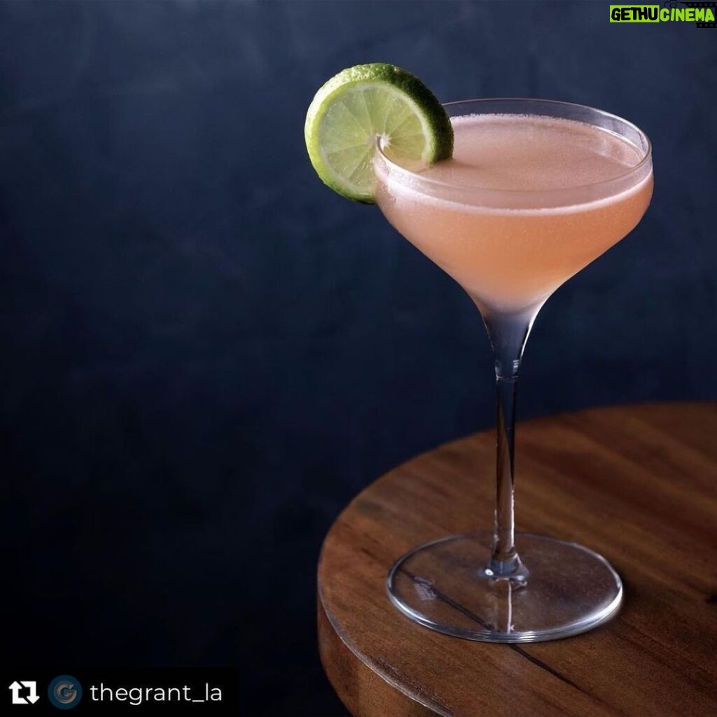 James Roday Rodriguez Instagram - Repost from @thegrant_la • The Space Walrus (vodka or gin, simple, angostura.) Named for the original Space Walrus himself, Franc. Have you seen our glorious Franc portrait? Come visit him. *Proceeds from the sale of this cocktail will go to Franc’s fund at @roadogs . Portrait by the extremely talented @jeanettegetrost 📸 credit @meetjakob