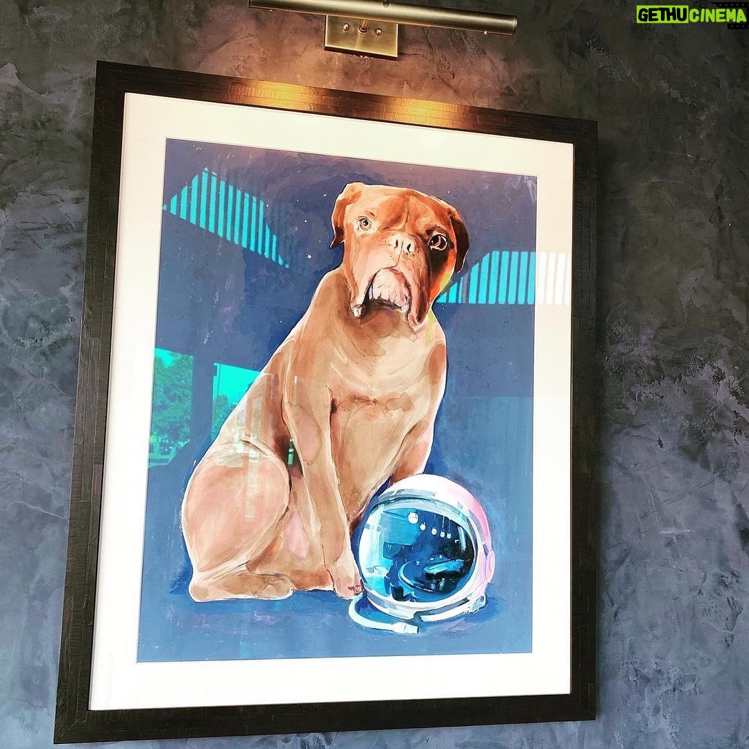 James Roday Rodriguez Instagram - Repost from @thegrant_la • The Space Walrus (vodka or gin, simple, angostura.) Named for the original Space Walrus himself, Franc. Have you seen our glorious Franc portrait? Come visit him. *Proceeds from the sale of this cocktail will go to Franc’s fund at @roadogs . Portrait by the extremely talented @jeanettegetrost 📸 credit @meetjakob