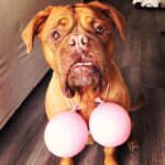James Roday Rodriguez Instagram - #breastcancerawareness It’s every day, every week, every month. Photo credit @lalamoyer Model: @dailydoseofdella