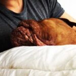 James Roday Rodriguez Instagram – Walrus napping.