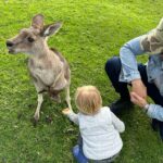 James William O'Halloran Instagram - Some recent highlights from #australia 🇦🇺 . . . #winter #downunder Mornington, Victoria, Australia