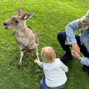 James William O'Halloran Instagram - Some recent highlights from #australia 🇦🇺
.
.
.
#winter #downunder