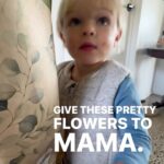 James William O'Halloran Instagram - Happy Mother’s Day to all the mum’s out there. Especially the incredible @jaimeeohalloran Also a gentle reminder not to eat your flowers ❤️ #isntshelovely Red Hill, Victoria