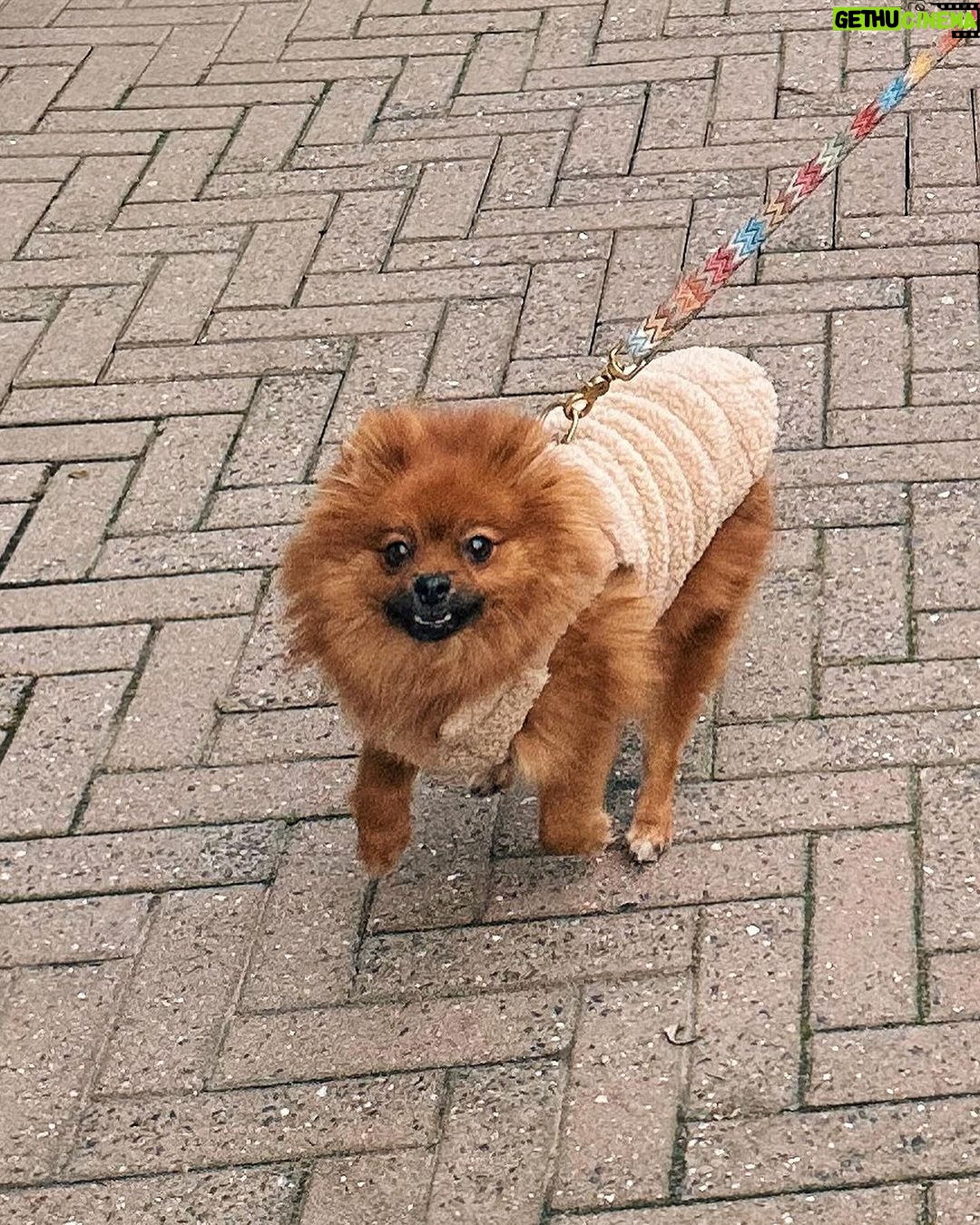 Jamie-Lee Six Instagram - mommy walks πΎπβ€οΈ