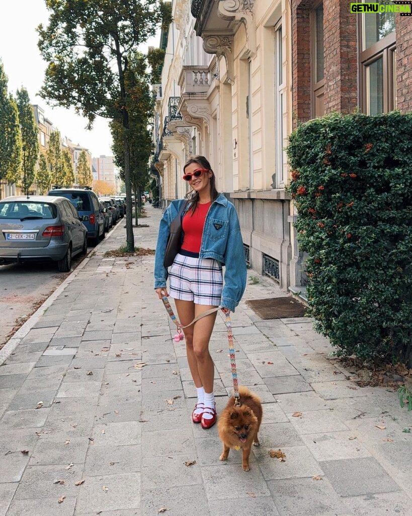 Jamie-Lee Six Instagram - dog mom 🍒🧸 Antwerp, Belgium