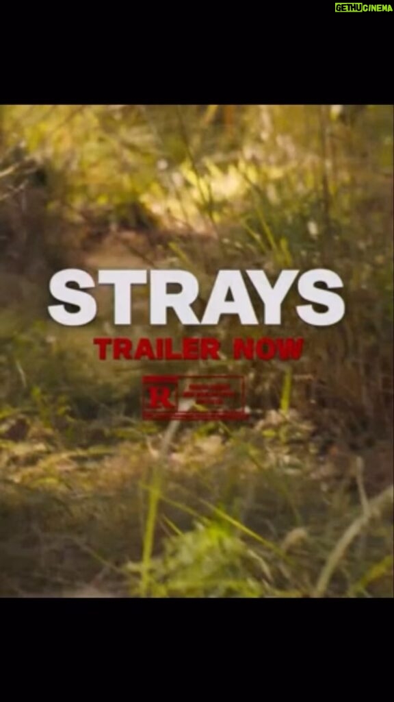 Jamie Foxx Instagram - NEW MOVIE ALERT!!!!…You know when me and WILL FERRELL get together we bout to bring that COMEDY HEAT!!! Check out our trailer for our new flick “STRAYS” I guarantee you you won’t be able to stop laughing at this one… This summer we bout to fuck shit up!!! @straysmovie 🎬🔥🔥🔥🔥