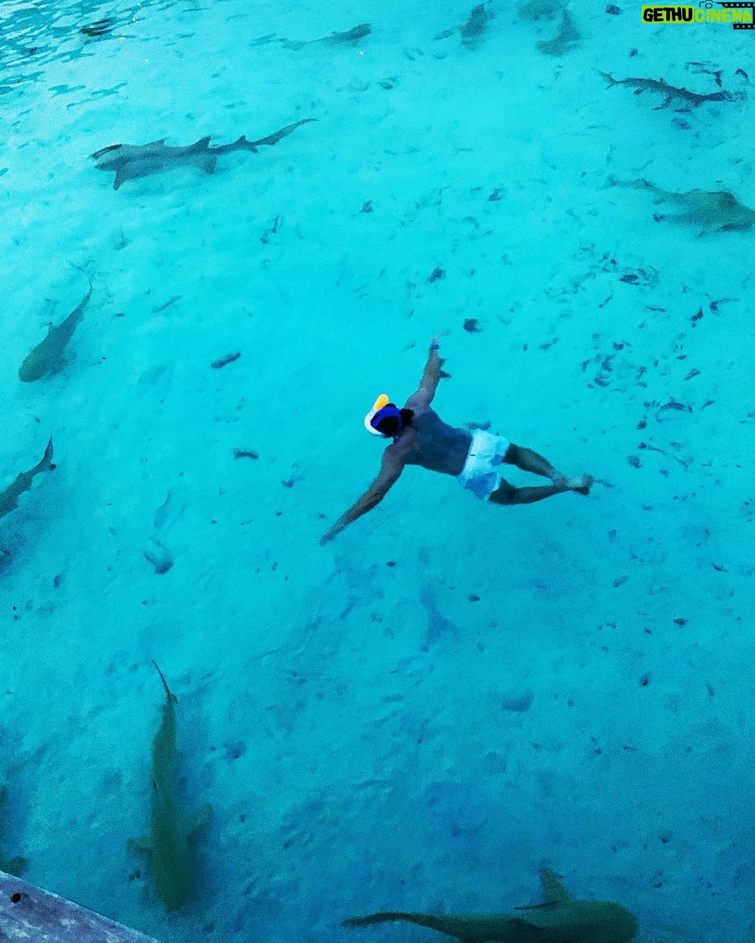 Jan Kopečný - 2.1K Likes - Takže tak! 🦈🌴🙏 #shark #maledivy
———————————————————————————
#jankopecny #fun #f4f #instagram #instadaily #beautiful #funny #happy #life #healthy #instadaily #like4like #lifestyle #instacool #instapic #bestoftheday #photo #jk #me #botox #botoxmusic #instagood #photooftheday #instamood #follow #smile #like #like4like #🇨🇿 #💋