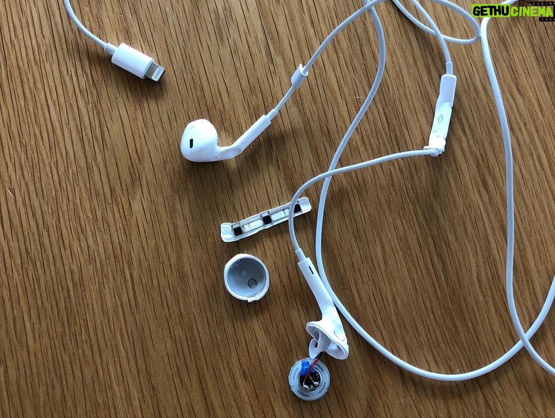 Jane Hall Instagram - Christmas joy from Betty. Santa, I need AirPods, please.