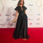 Jane Hall Instagram - Logies 2022. Thanks to @davidjonesstore for the stunning (and super comfy) @toni_maticevski gown. Earrings @jackiemackdesigns and clutch @katherineland.au ❤️❤️❤️