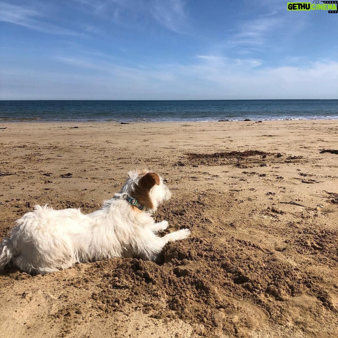 Jane Hall Instagram - Betty and the beach 🐶❤️