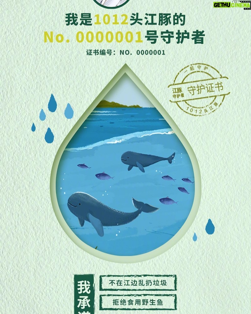 Jane Zhang Instagram - #水的旅程 与水同行 江豚是长江的精灵，也是全人类的朋友。它们美丽的微笑😊，与万里长江的浪花一起飞扬🌊，保护江豚从保护河流开始。今天是世界河流日，我是WWF江豚保护大使张靓颖 。请与我共同守护中国1012头江豚，写下你对江豚最美好的祝福吧！@WWF世界自然基金会 ​​​