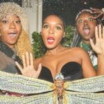 Janelle Monáe Instagram - All the fly dragons.💋🐉🪰