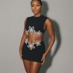 Janelle Monáe Instagram - A i