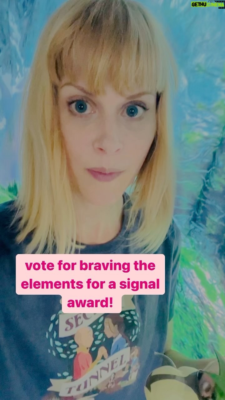 Janet Varney Instagram - Help #bravingtheelements win! @signalawards link in my bio!