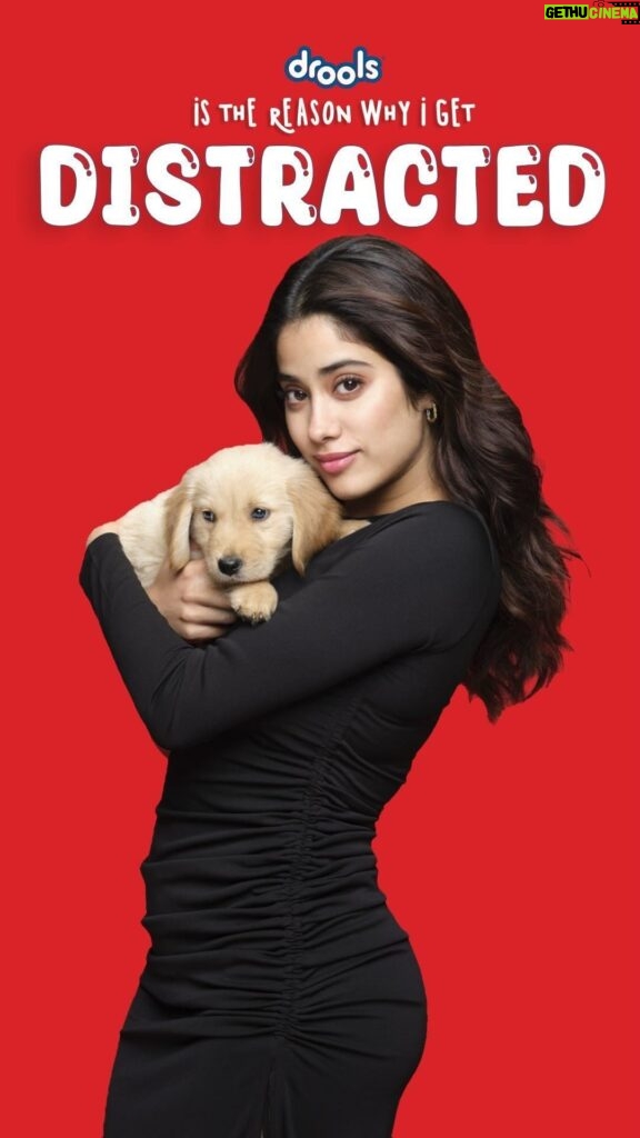 Janhvi Kapoor Instagram - All 👀 on DROOLS! Taste so good that your pets won’t stop drooling 😋🐾 Made with the best ingredients & a whole lot of love ❤️ #droolsindia #dogs #pets