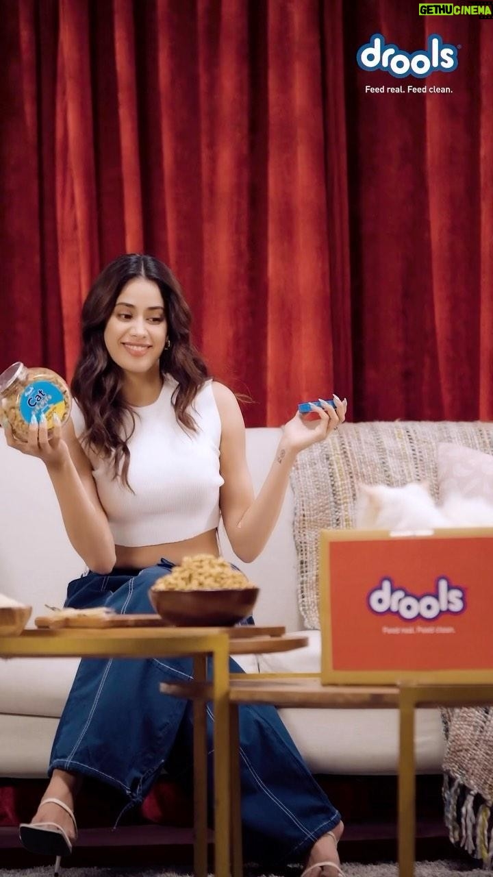 Janhvi Kapoor Instagram - Whisker-licking crunchiness, that keeps them coming back for more 🐱🥰 Feed your furry friend the feline favourite Drools Cat Biscuits ♥️ These oven baked delights are made with 100% Real Chicken, along with the richness of Omega 3 & 6 Fatty Acids! A crunch filled experience, with the perfect blend of taste & nutrition for your pets ❤️🍪 Drools Cat Biscuits- Feed Real Feed Clean 🐾 #drools #feedrealfeedclean #droolsindia #petfood #catfood #catbiscuits #petparents