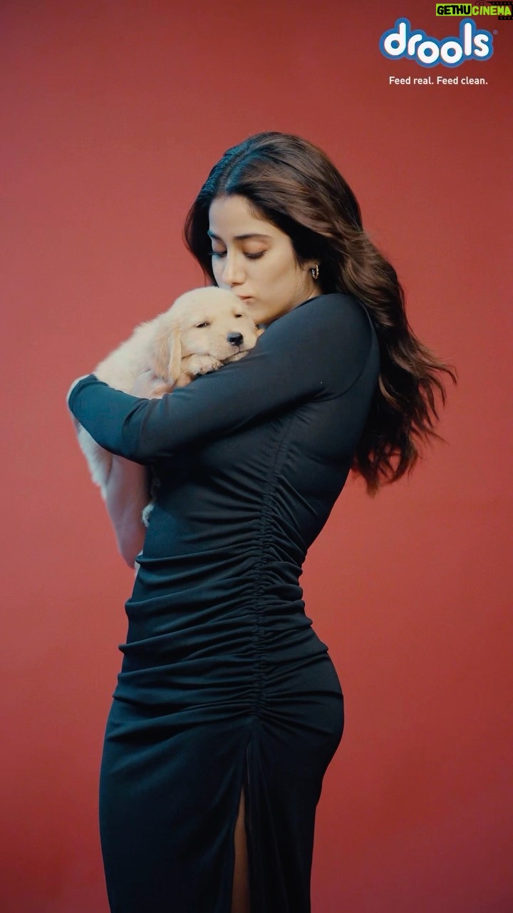 Janhvi Kapoor Instagram - When puppies are involved, you know the shoot is going to be a hoot! 🥳🤍🐾 We caught @janhvikapoor behind the scenes, cuddling with her paw-some @droolsindia co-stars & we couldn’t be more jealous 🫣 #drools #droolsindia #pet #petfood #petsgram #petparents #feedrealfeedclean #justdroolit