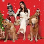 Janhvi Kapoor Instagram - Drools & @janhvikapoor wish you and your furry friends a Merry Christmas! 🎅🏻🎄❄️ Let’s make this holiday season a feast of happiness, where every bowl is filled with love and nutritious delights from Drools 😍🐾 #droolsindia #pets #christmas #holidays #feedrealfeedclean #drools