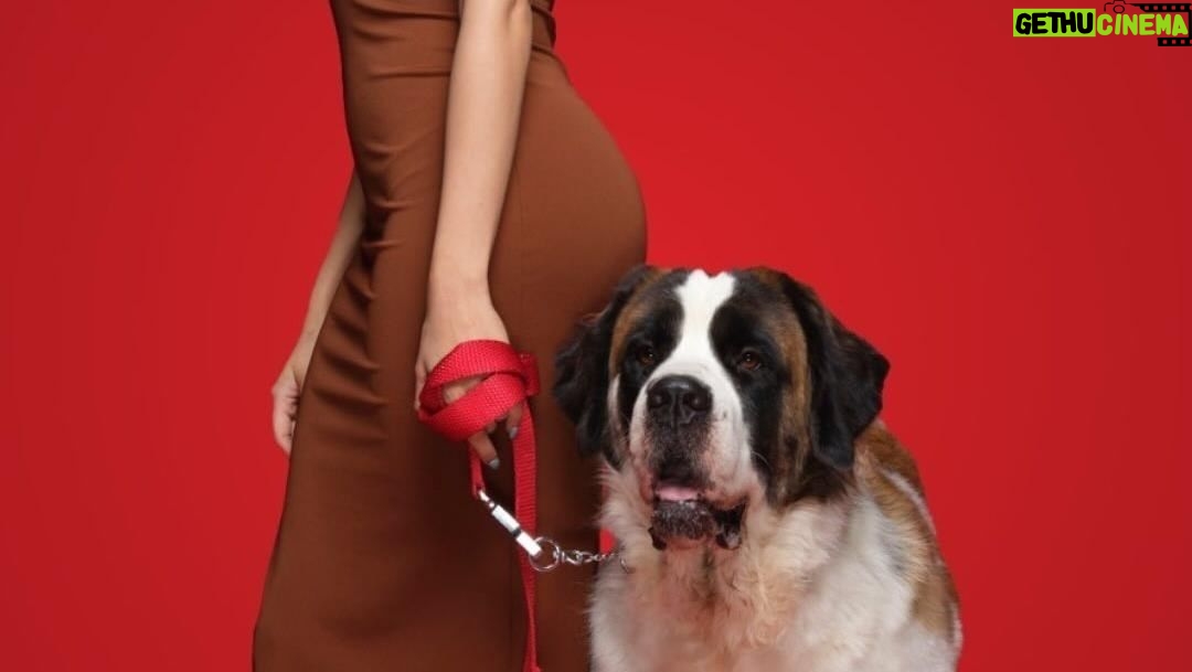 Janhvi Kapoor Instagram - Indulge your furry friend with @droolsindia ‘s oven-baked dog biscuits. Packed with the goodness of 100% real chicken, it is a nutritious and delicious treat that’ll definitely have tails wagging in delight! 🐾🍗 Drools- Feed Real Feed Clean ❤️ #droolsindia #pets #biscuit #treats #petparent
