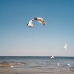 Jannik Schümann Instagram – Jūrmala Jūrmala, Latvija