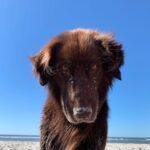 Jannik Schümann Instagram - don’t look at me like that