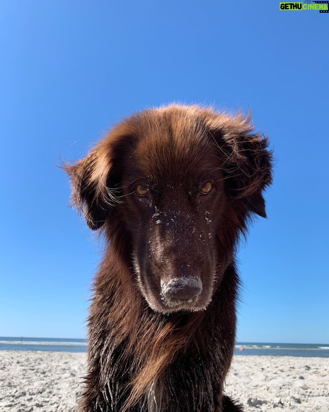 Jannik Schümann Instagram - don’t look at me like that