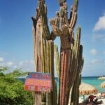Jannik Schümann Instagram - Aruba on 🎞️