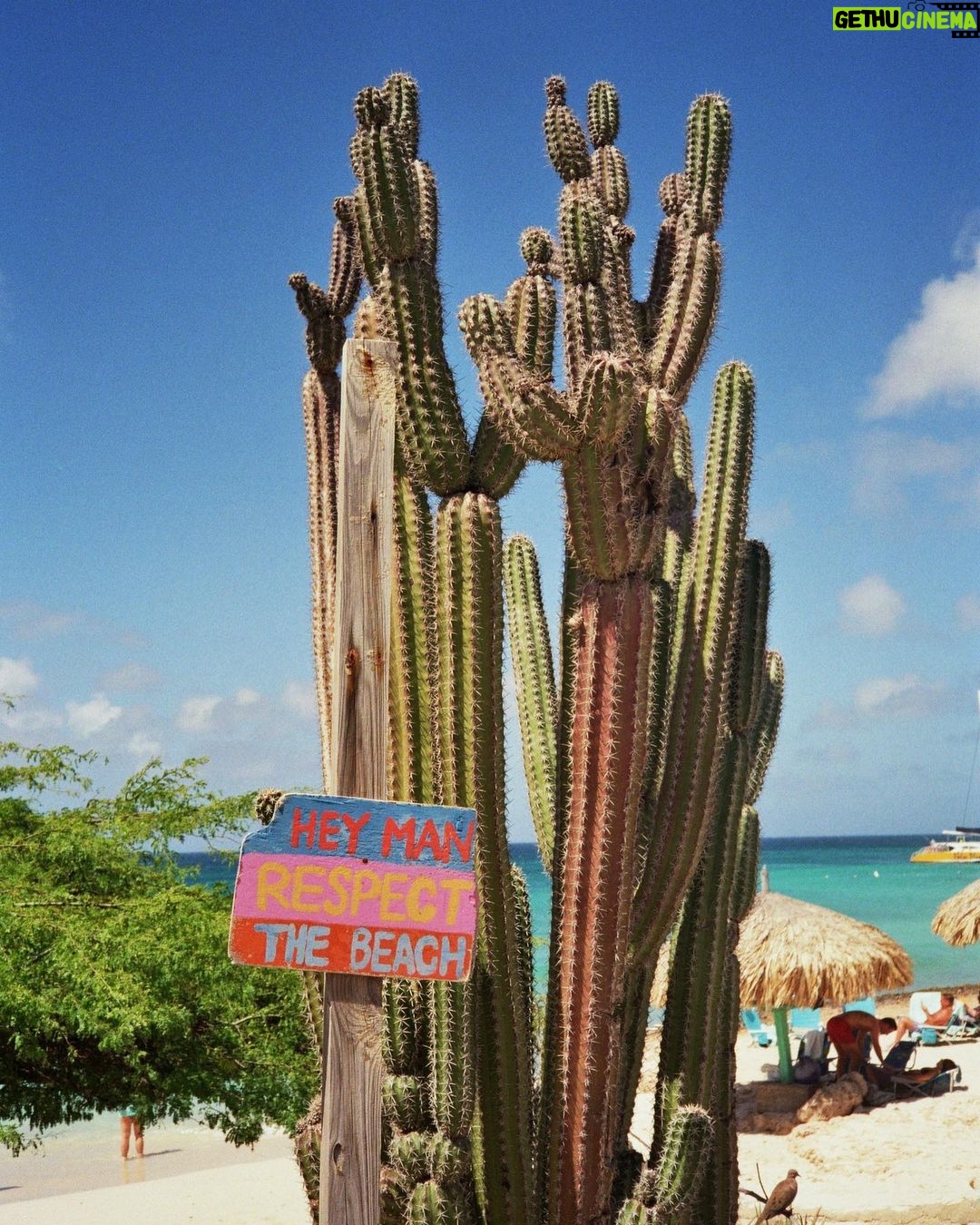 Jannik Schümann Instagram - Aruba on 🎞️