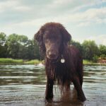 Jannik Schümann Instagram - DOGUE Covergirl