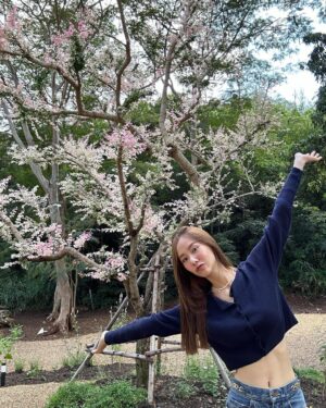 Jarinporn Joonkiat Instagram - 🌸 มีแต่คนถามถึงต้นไม้ต้นนี้ คุณเค้าคือ ‘มะขามเทศด่าง’ ค่ะ 💘 Thank you so so much to p @wit_littletree for the beautiful garden na kaa ☺️ @baan.429
