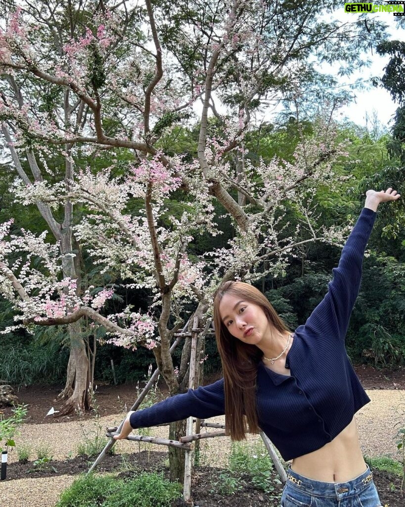 Jarinporn Joonkiat Instagram - 🌸 มีแต่คนถามถึงต้นไม้ต้นนี้ คุณเค้าคือ ‘มะขามเทศด่าง’ ค่ะ 💘 Thank you so so much to p @wit_littletree for the beautiful garden na kaa ☺️ @baan.429