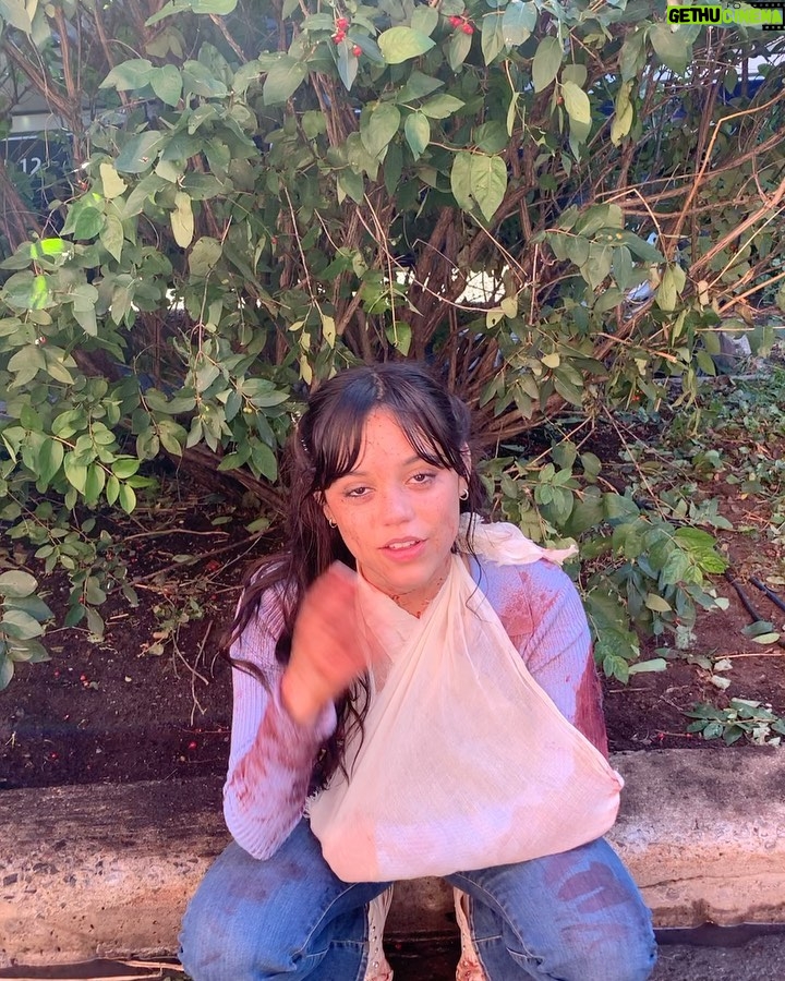 Jasmin Savoy Brown - 221.2K Likes - I MISS THEM!!!!