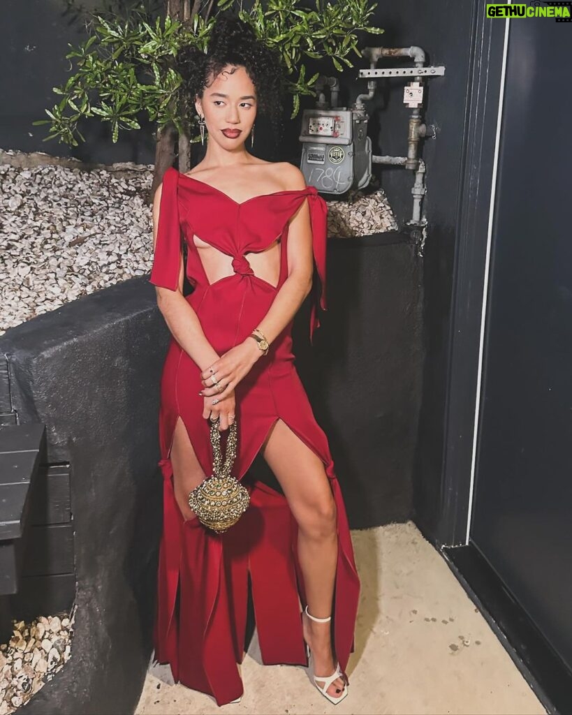 Jasmin Savoy Brown Instagram - This year, I ain't playin around. @mptf you always throw a wonderful party. Thank you for the invitation. Thank you @yuzefi I was honored to adorn my body in your art. Hannah at @modnailstudiocity did her thang. @jimmychoo makin my feet look sexy. @mae_cassidy with the beautiful bag everyone wanted for themselves. @hanut101 you're wrong for this jewelry (save for one piece that is a family heirloom!) As always styled by the singular @itsamandalim No one does hair like @takishahair and if you fight me on that I will win... @cherishbrookehill you are SICK for this makeup! FEVERISH!!! Fresh ink by my bestie @jessnagytattoos in Springfield, Oregon. Free Palestine 🇵🇸