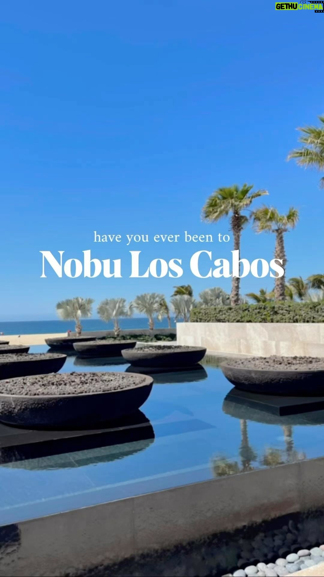 Jasmine Davis Instagram - have you ever been to —📍Nobu Los Cabos My first ever trip to to Los Cabos and I must say the standard has been set. From the aesthetics to the food I’m not sure if it can be topped. Check My Ratings Below👇🏼 🦀Food: 10/10 🍽️Service: 10/10 🌅Ambiance: 10/10 💰Price: $$$$ save for your next international trip✈️ #nobu #nobuloscabos #travelblogger #cabosanlucas #caboresort #cabo #cabosanlucasmexico #mexico Nobu Hotel Los Cabos