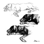 Jason Latour Instagram – Life drawings of my nephew from 2019. 

#dogs #dogsofinstagram #lifedrawing #comics