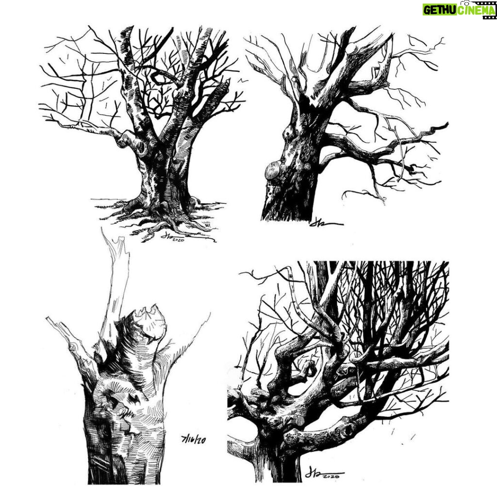 Jason Latour Instagram - More studies of trees. Swipe for a better look. 👈 For comics and more join my NEWSLETTER at the link in bio. #lifedrawing #trees #tree #sketchbook #comics #cartoonist