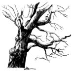 Jason Latour Instagram - More studies of trees. Swipe for a better look. 👈 For comics and more join my NEWSLETTER at the link in bio. #lifedrawing #trees #tree #sketchbook #comics #cartoonist